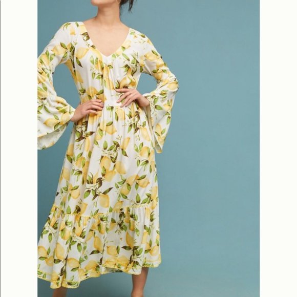 Anthropologie Dresses & Skirts - Anthropologie Lemon Ragusa Midi Dress Nimo Love L